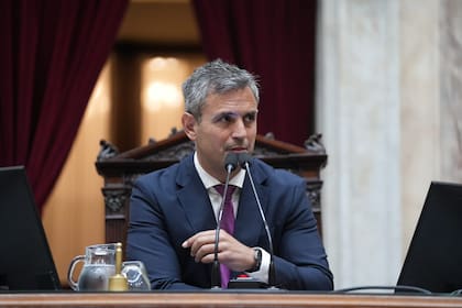 Martín Menem, reelecto presidente de Diputados