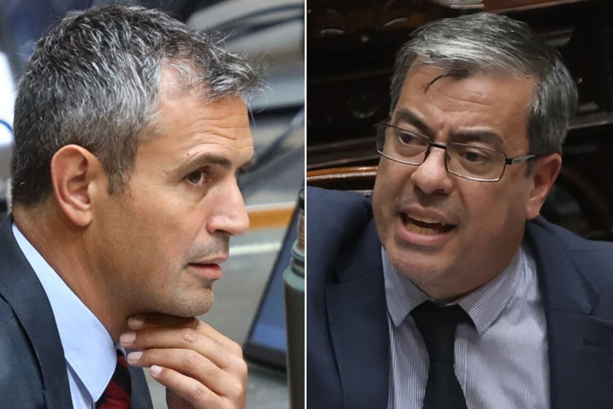 Ficha limpia en Diputados, en vivo: la sesión por el proyecto de Javier Milei minuto a minuto