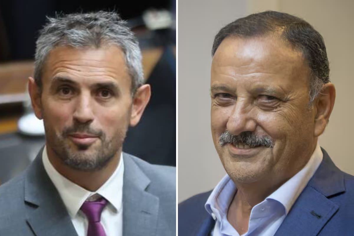 Martín Menem repudió los dichos de Quintela contra Milei: “Es un mono con un martillo en una cristalería”