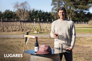 Vivió 25 años en Estados Unidos, jugó para Tommy Lee Jones y volvió a su ciudad para hacer vino