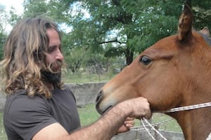 Martín Ochoteco nació con un talento natural: la doma de caballos