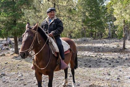 Martín recorre el margen sur del lago solo