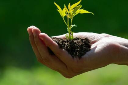 Martin Rees, astrónomo británico, opina que en el siglo XXI tenemos el futuro del planeta en nuestras manos