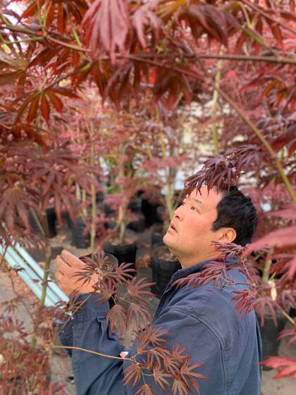 Martín Sasaki, tercera generación de floricultores.