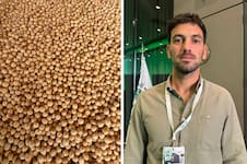 Emprendedores: se conocieron en una multinacional, armaron una empresa y buscan dar un batacazo en China con la arveja