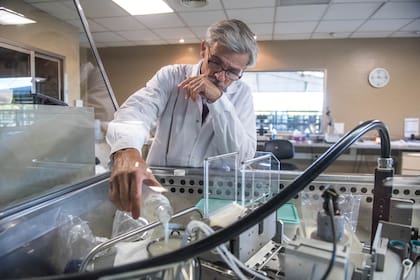 Martín Udaquiola, durante el proceso de análisis y almacenamiento del semen.