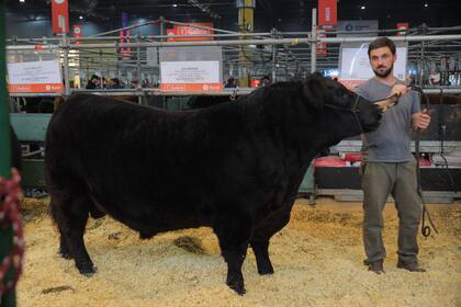 Martín Zudaire: “Empezamos a hacer netamente cría, luego mi papá empezó a hacer toros para sus vacas y, cuando les empezaron a ofrecer comprárselos, comenzó a vender”
