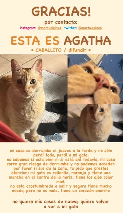 Martina inundó el barrio de Caballito de carteles