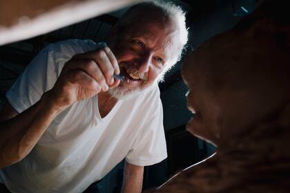 Daniel Stern, entre la escultura, el cine, la granja y el TikTok