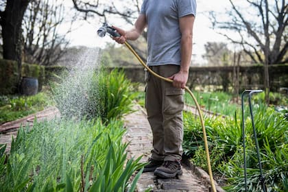 Más agua no siempre significa más vida: importa cómo y cuándo se riega