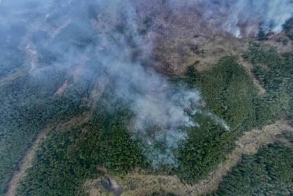 Más allá de las hectáreas de bosques afectadas, se teme por los establecimientos productivos