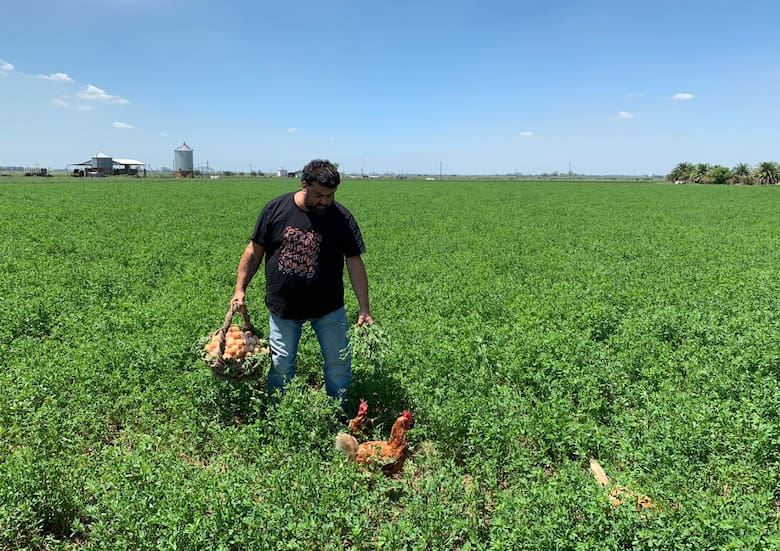El productor santafesino que impulsó el protocolo para gallinas libres de jaula y revoluciona la avicultura argentina