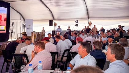 Más allá del volumen, dijeron, “la lectura que dejó la jornada fue la de un mercado activo, con operadores dispuestos a convalidar valores, en línea con la calidad ofrecida y con la necesidad de abastecimiento de los frigoríficos”