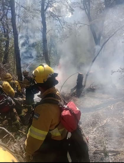 Más brigadistas están llegando a Los Alerces para colaborar en los intentos por controlar el incendio, que comenzó el jueves