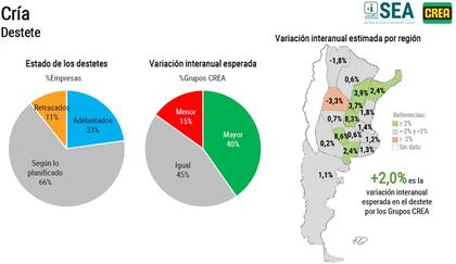 Más datos sobre la cría