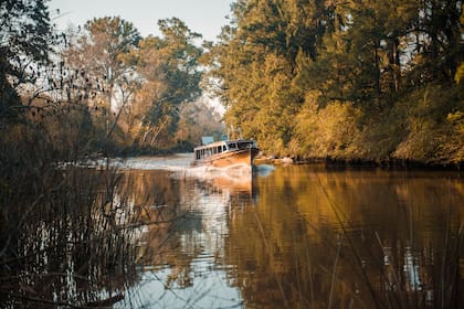 Más de 120 especies de aves habitan en La Reserva, que resulta ideal para hacer deporte y conectarse con la flora originaria del Delta y su paisaje sonoro.