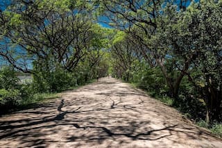 Cinco áreas protegidas a menos de 200 km de CABA para disfrutar de la naturaleza y la desconexión