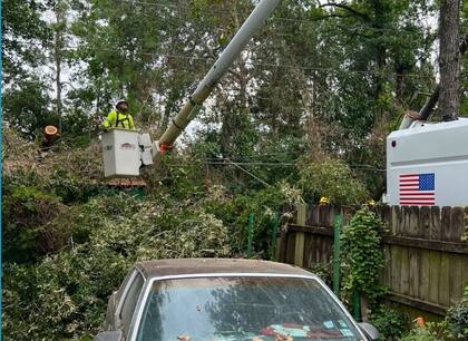 Más de 18.600 árboles tuvieron que ser removidos de las líneas eléctricas en Texas, según CenterPoint Energy