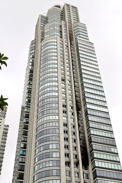 Más de 20 plantas se vieron afectadas por el humo