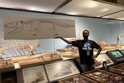 Más de 350 especímenes de Wathchería hay en Field Museum