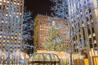 Más de 50 mil luces LED multicolores decoran el árbol, distribuidas en 8 kilómetros de cables