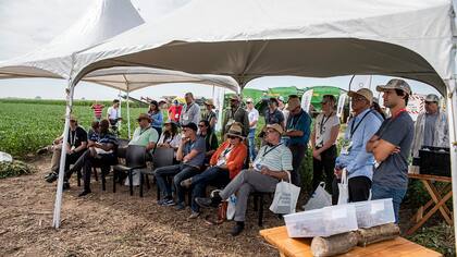Más de 80 productores de 20 países visitaron el Bayer FowardFarming en la localidad de Pergamino