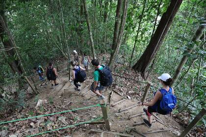 Más de dos horas de caminata por la jungla conducen a la cueva-alojamiento