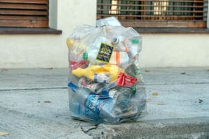 Son el 60% de la basura hogareña y no hay una ley que los regule