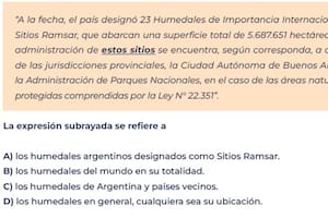 Qué ejercicios incluyó la evaluación de lengua y cómo les fue a los alumnos