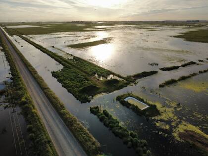 Más de la mitad del campo que trabaja en la región Jover junto a su marido está inundado