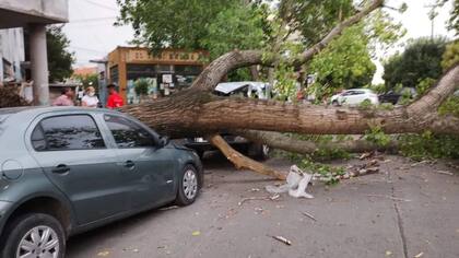 Más destrozos en las calles
