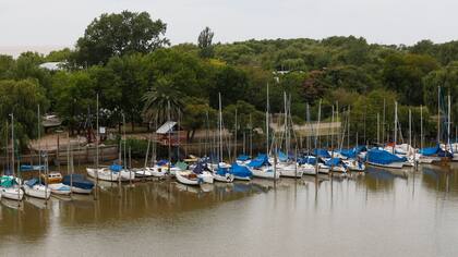 Más verde en San Isidro: renovarán el puerto con un parque público