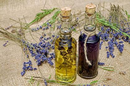 Masajearte con aceite de lavanda o de rosa te ayuda a conciliar el sueño