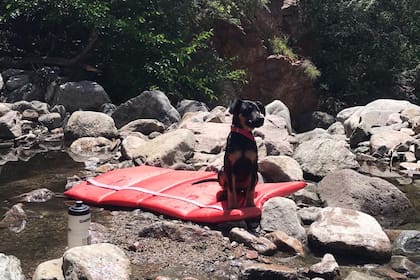 Nina apareció de repente en las sierras cordobesas y le cambió la vida a Aldana: fue amor a primera vista