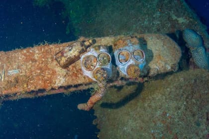 Máscaras de gas en el Momokawa Maru