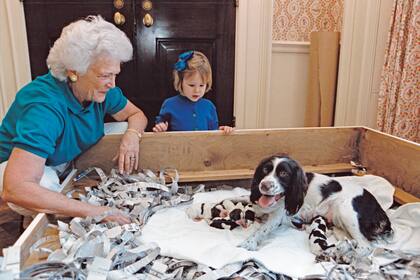 Barbara Bush posa con su cocker Millie y sus cachorros recién nacidos.