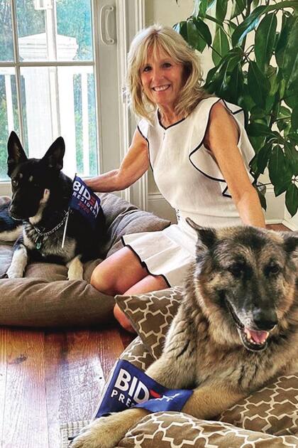 La futura primera dama, Jill Biden, con Major y Champ, ambos con banderines de la campaña presidencial.