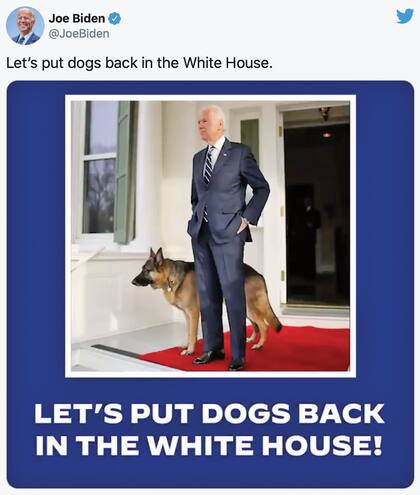 Uno de los slogans que Biden compartió con sus seguidores a través de Twitter: “Traigamos de vuelta los perros a la Casa Blanca