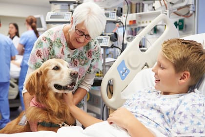 Mascotas en el hospital: está comprobado que el contacto con animales ayuda a equilibrar las emociones y el estado anímico