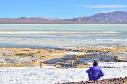 MashUps de la Argentina. Sonidos que se escuchan cuando se visita un lugar, desde la música de un erke andino hasta el crujir de los pies sobre la arena
