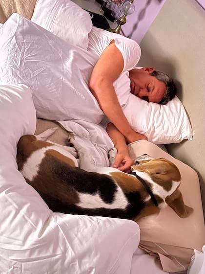 Massa, durmiendo después de ser confirmado como candidato a presidente: la foto la posteó su esposa, Malena Galmarini