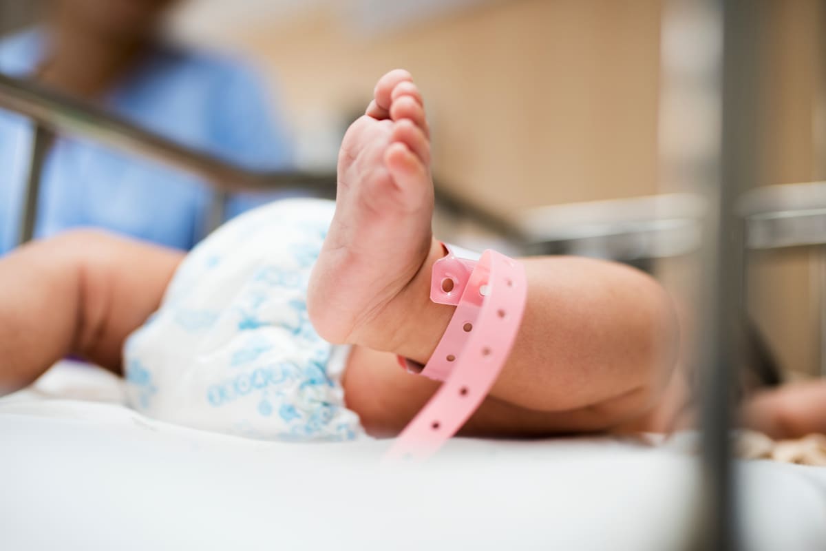 ¡Ser Padres en EE.UU.: Descubre los Estados con Mejor y Peor Apoyo para Familias!