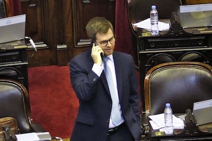 El jefe del bloque Pro, Nicolás Massot