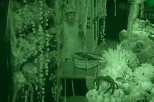 Gritos, miedo e insultos en la noche de beneficios