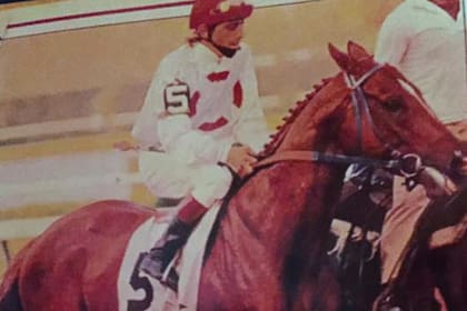 Mat Boy, el súper caballo