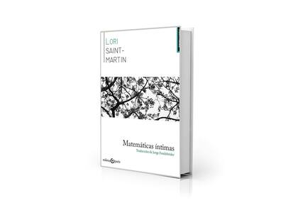 "Matemáticas íntimas", de Lori Saint Martin, se publicó en la Argentina en 2017