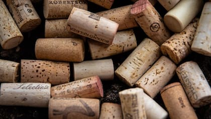 Materiales simples, gran impacto: corchos, pegamento y creatividad se combinan en este proyecto sustentable