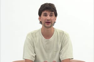 Desaparecieron dos cachorros de yaguareté en Misiones tras ser trasladados