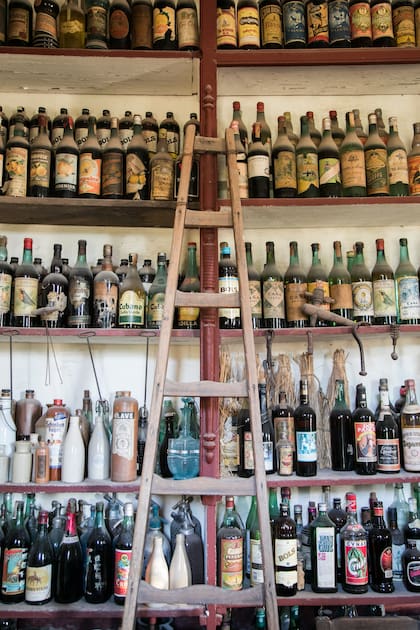 Matías califica a El Recreo como un "refugio tradicionalista".