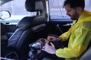 Matías Piccirillo cumplió el papel de su hermano, Elías, en la reconstrucción del hecho por el cual el exmarido de Jésica Cirio terminó preso